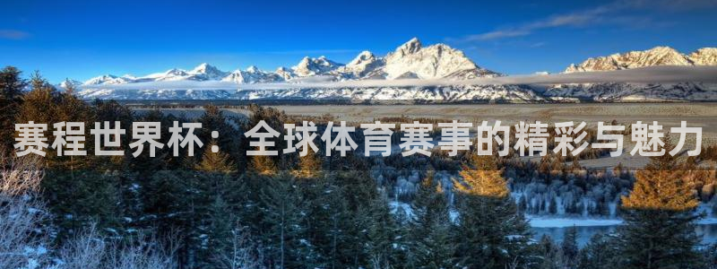 世界杯官网入口：赛程世界杯：全球体育赛事的精彩与魅力