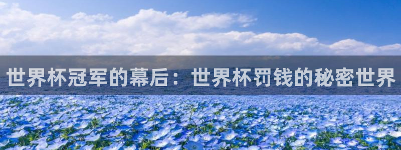 世界杯欧洲区预选赛赛程：世界杯冠军的幕后：世界杯罚钱的秘密世界