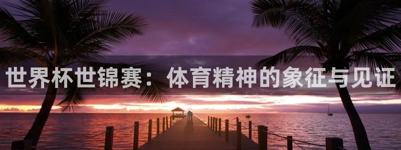 世界杯预选赛亚洲区积分榜：世界杯世锦赛：体育精神的象征与见证