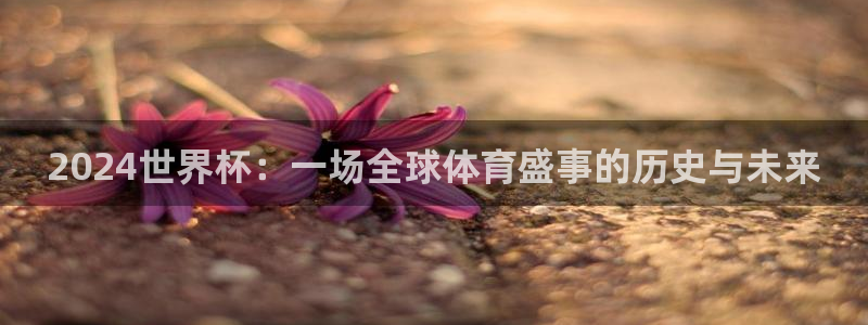 西超杯直播：2024世界杯：一场全球体育盛事的历史与未来