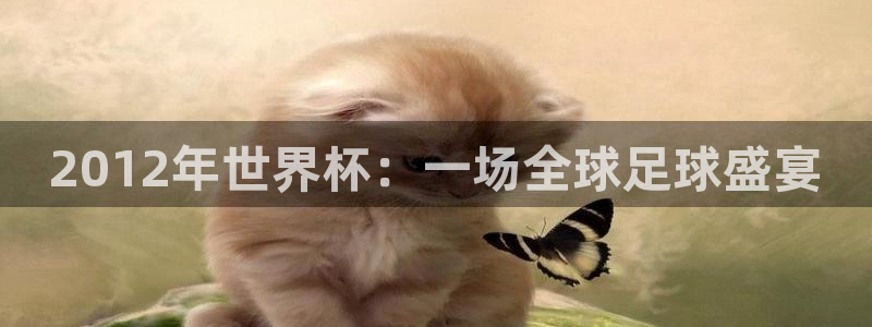 世界杯亚洲预选赛18强赛程：2012年世界杯：一场全球足球盛宴