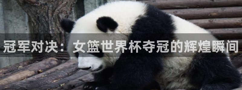 世界杯直播网站：冠军对决：女篮世界杯夺冠的辉煌瞬间