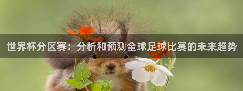 世界杯球队：世界杯分区赛：分析和预测全球足球比赛的未来趋势