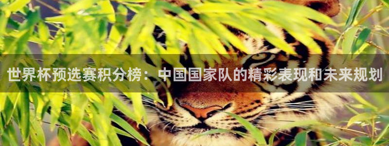 世界杯：世界杯预选赛积分榜：中国国家队的精彩表现和未来规划