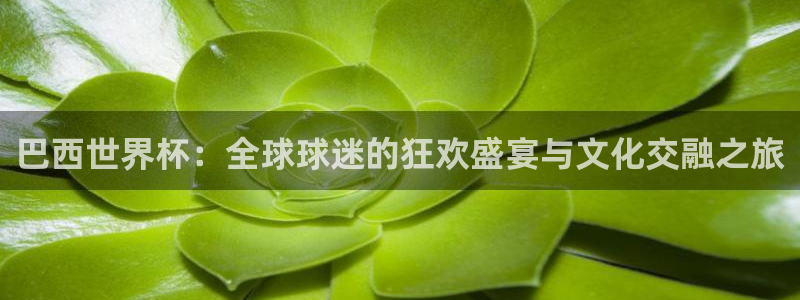 世界杯足球比赛：巴西世界杯：全球球迷的狂欢盛宴与文化交融之旅