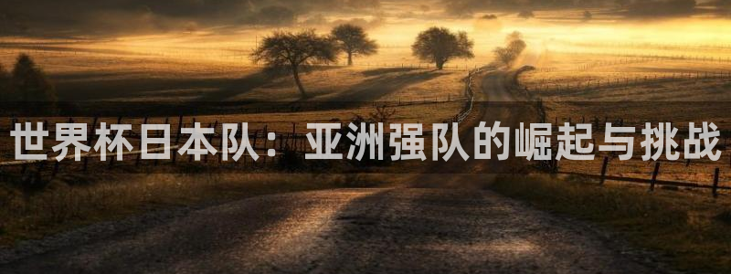 世界杯亚洲区预选赛积分榜：世界杯日本队：亚洲强队的崛起与挑战
